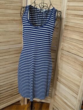 BB dakota dress Medium Blue And White Striped
